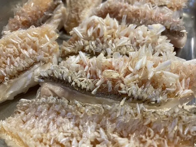 料理