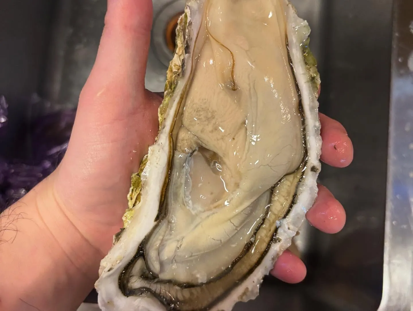 🌊🐟 この三連休、多くの皆様にご来店いただき、心より感謝申し...
