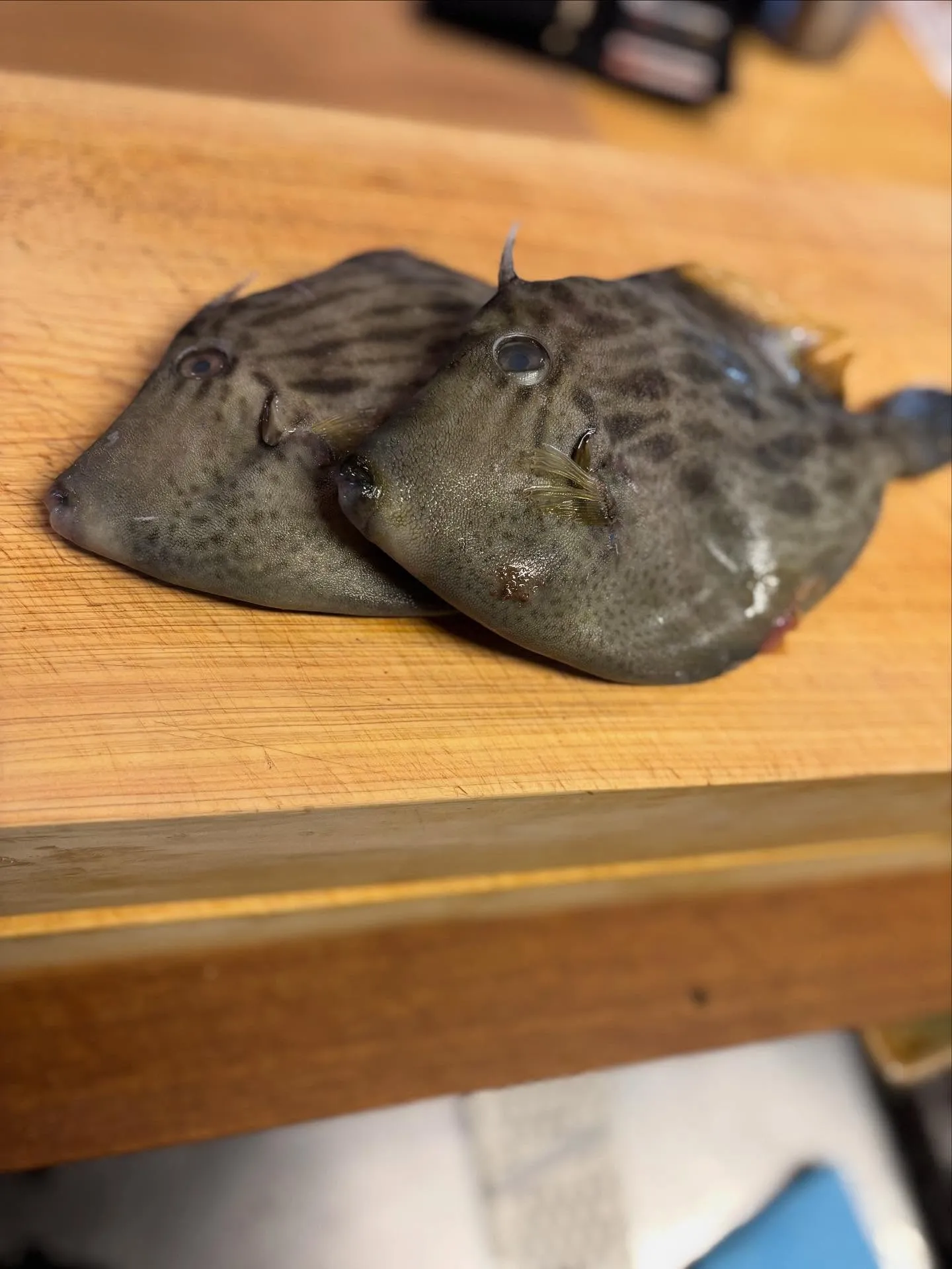 昨日も沢山のご来店ありがとうございました!