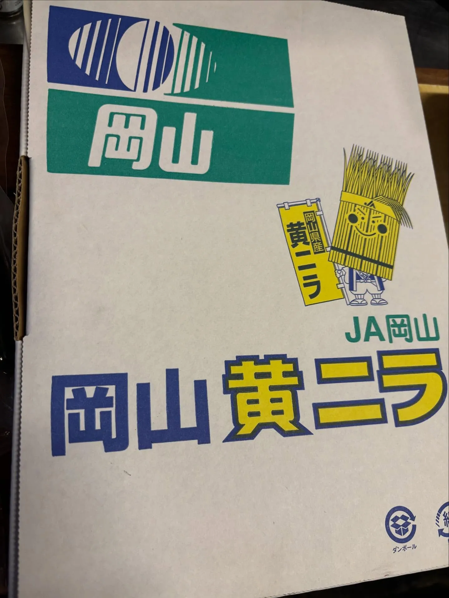 佐島のマダコ🐙