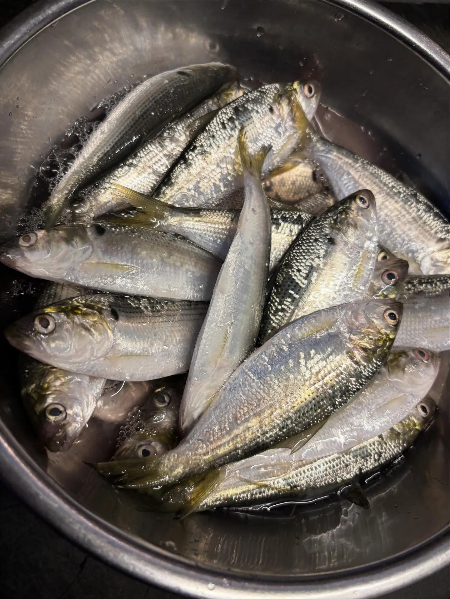 藤邑です！