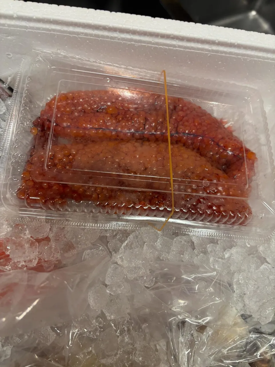 今日のイチオシ！！