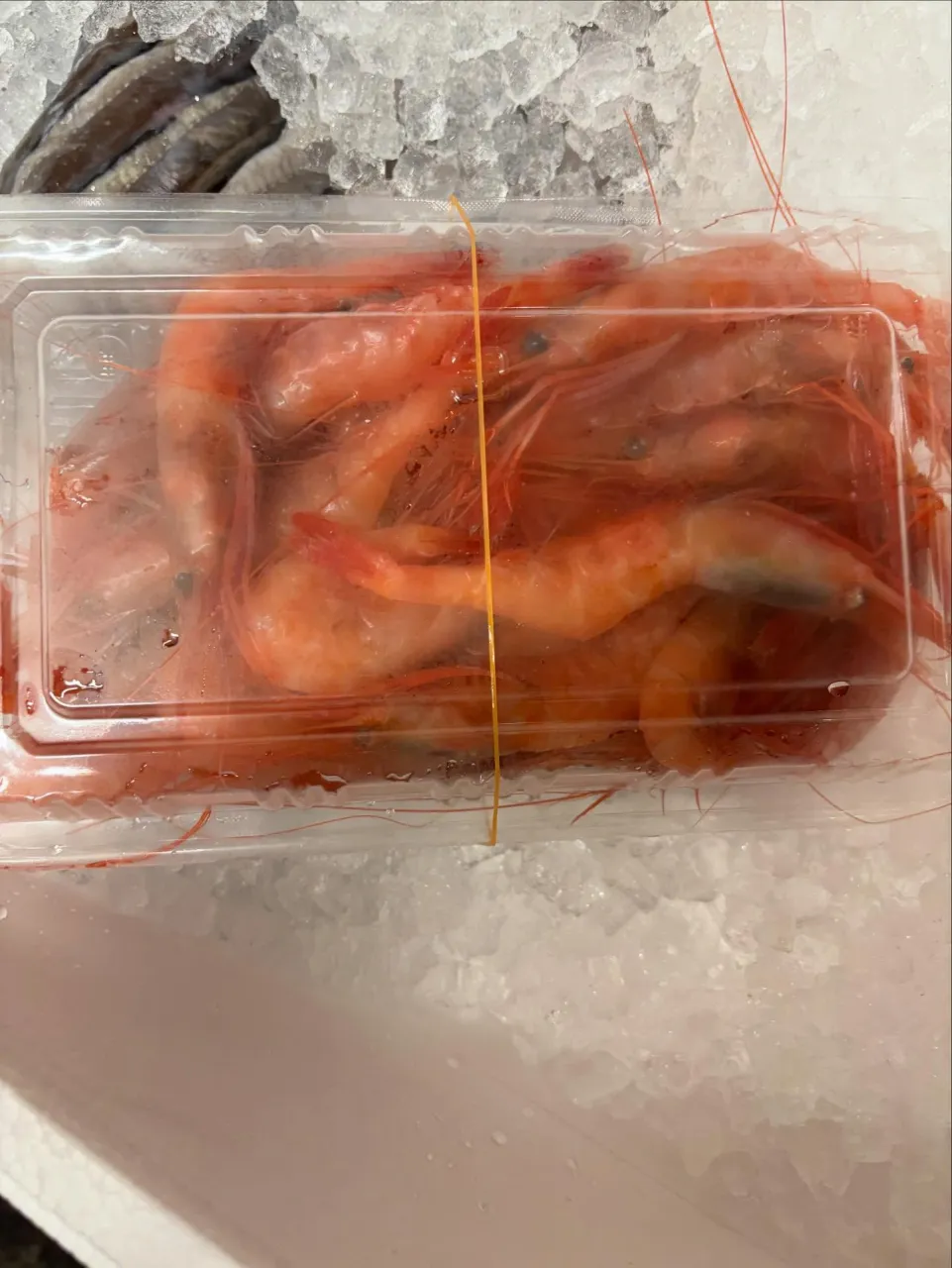 今日のイチオシ！！