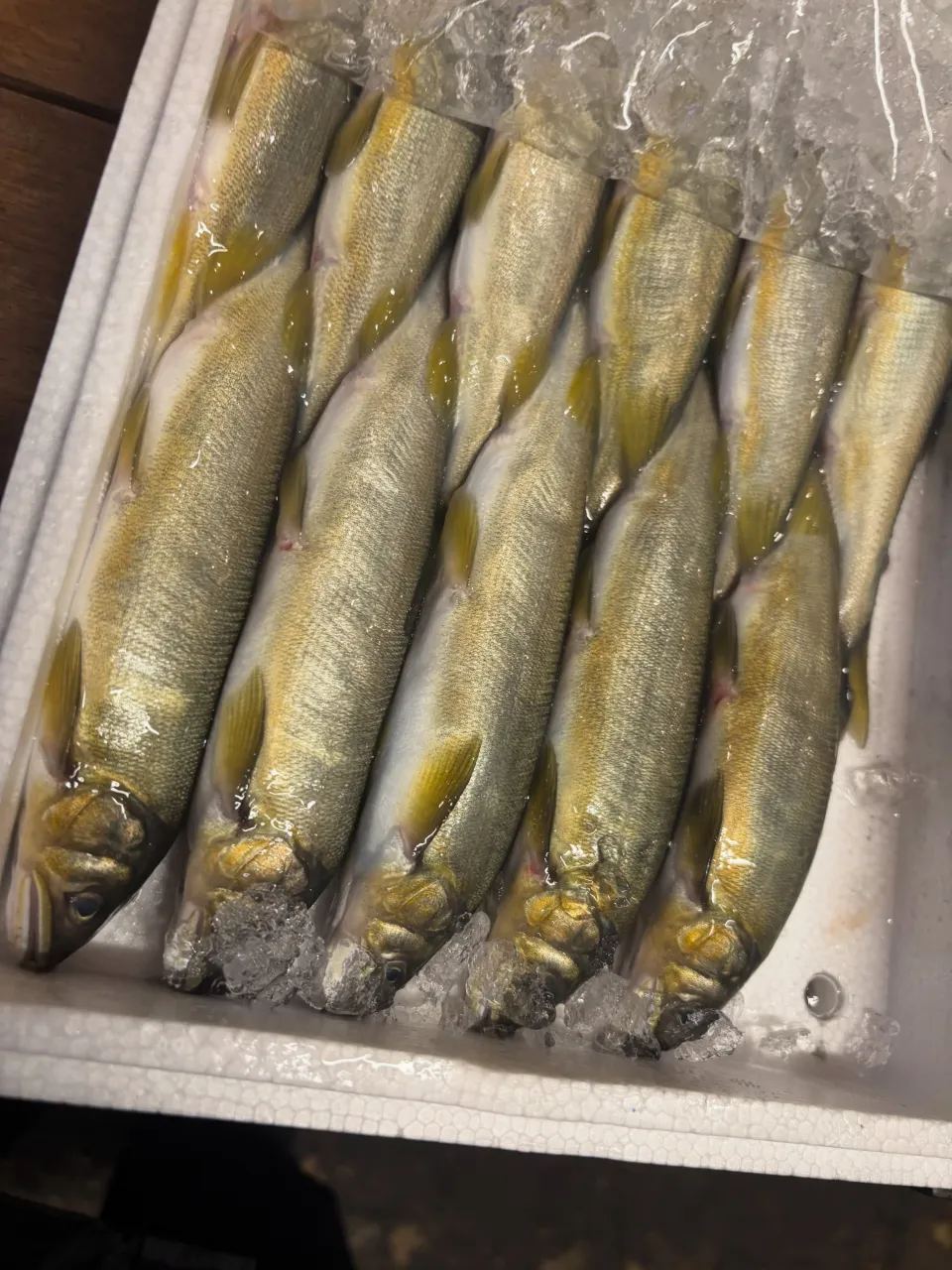 藤邑です！新店舗オープンまであと少し！