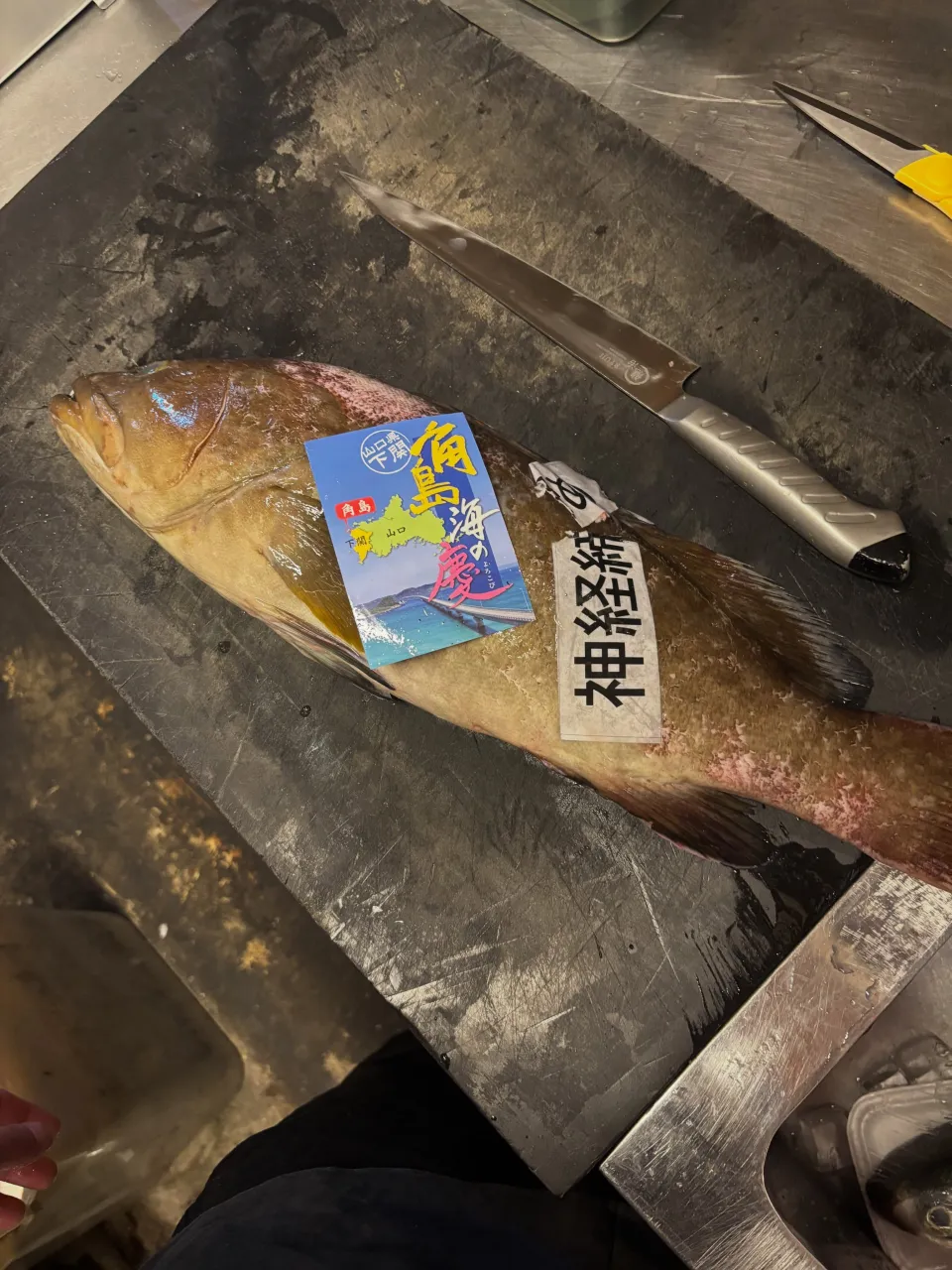 藤邑です！新店舗オープンまであと少し！