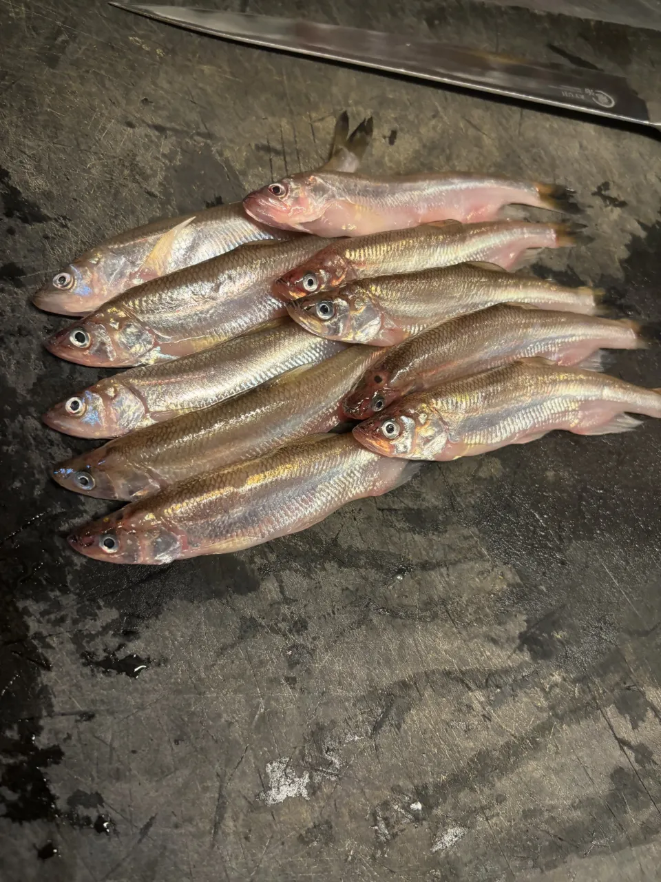 藤邑です！新店舗オープンまであと少し！